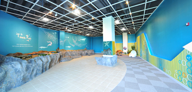 해양체험관 전경 사진으로 좌측 벽면으로 터치풀이 마련되어 있다