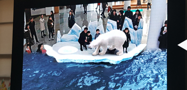 북극의 빙하위에 북극곰과 함께 있는 모습을 증강현실로 모니터로 확인할수 있다