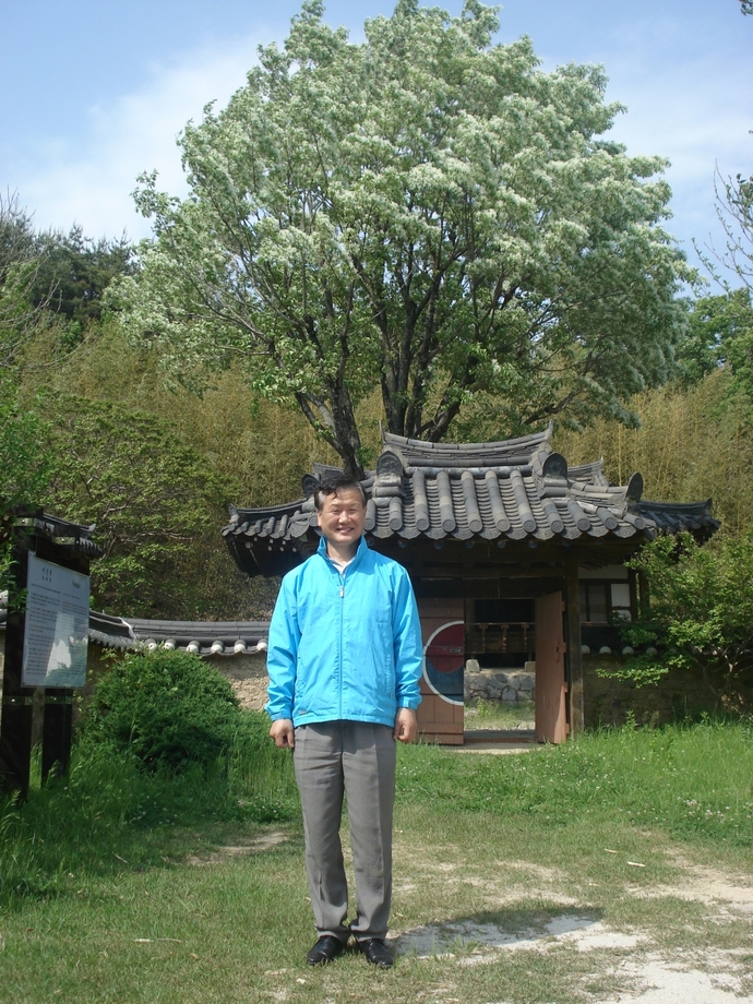 이대통령 고향 덕실마을 이상재 뜰에 있는 이팝꽃나무 전경