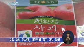 포항 죽장산사과, 대한민국 최고 과일 등극