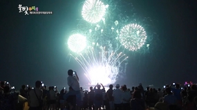 2016년 포항국제불빛축제