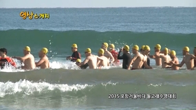 2015 포항겨울바다 돌고래수영대회