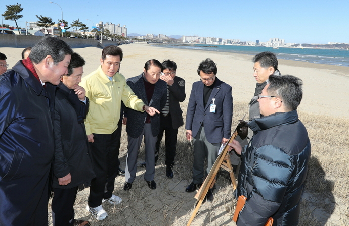  송도해수욕장 백사장 복원사업 추진상황 점검